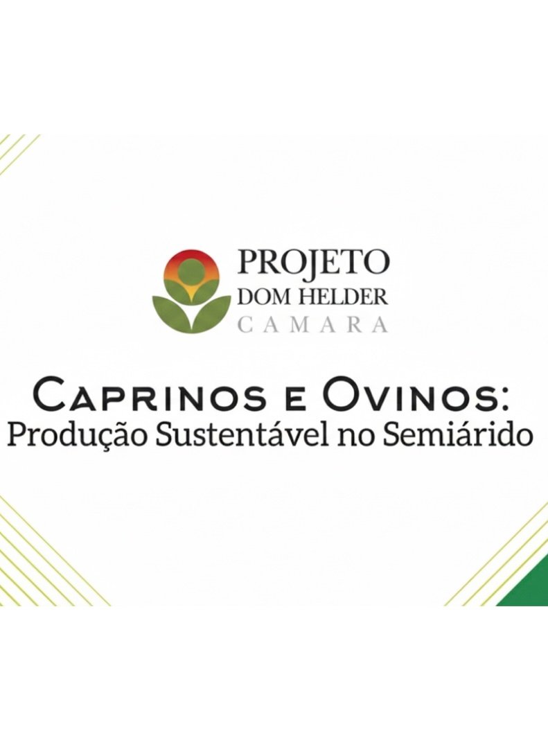 Caprinos e ovinos: produção sustentável no Semiárido
