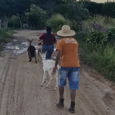 Viagem:19, 20 e  21 de Maio de 2024