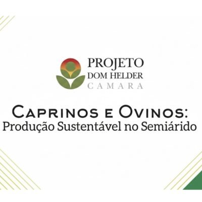 Caprinos e ovinos: produção sustentável no Semiárido